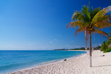 Plakat Caribbean beach