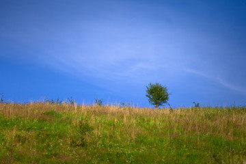 Słoneczny dzień w górach