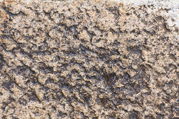 Stone texture, stone background for design with copy space for text or image. Stone motifs that occurs natural.