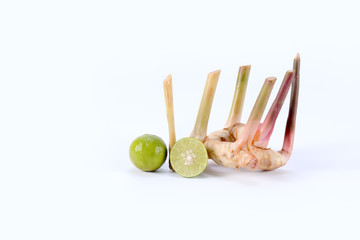 lime galangal  thai food herbs nature white background