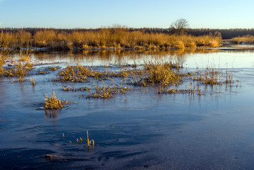 Zamarzająca Narew © podlaski49