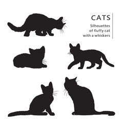 Set of cats silhouettes isolated on a white background. Isolated vector image of fluffy cat with a whiskers.