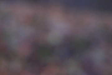 White brown and black abstract background