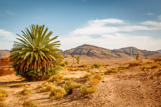 Landscape near the city Ouarzazate