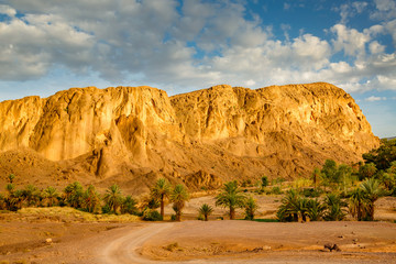Landscape of Fint oasis near the city Ouarzazate