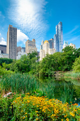 The Pond in Central Park with of the midtown Manhattan skyline in New York City