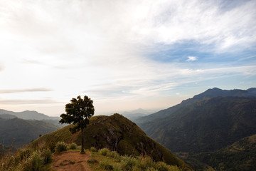 Naklejka premium Mount Little Adam's Peak. Mountain landscape in Sri Lanka