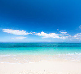 beach and tropical sea