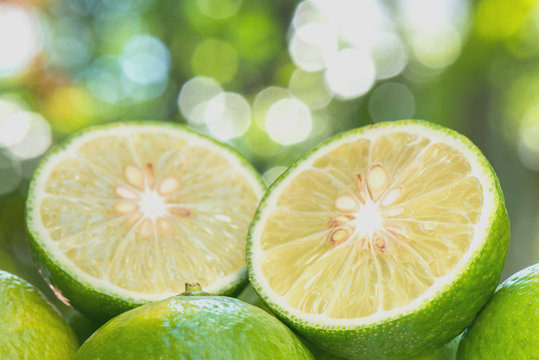 Closeup Lime slice with nature blur background
