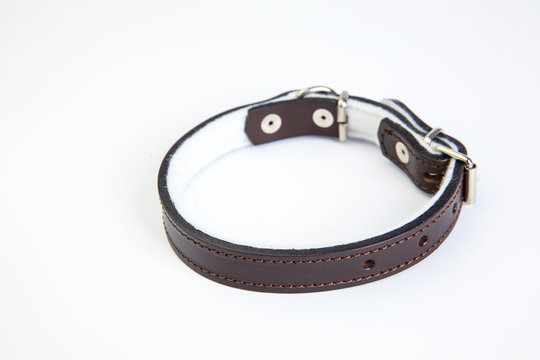 Leather brown dog collar