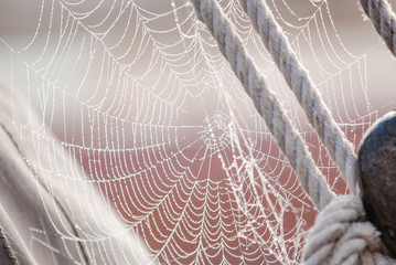 Morning dew on Spiderweb sailboat detail..