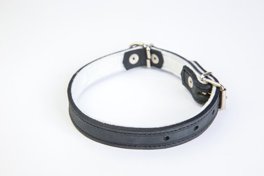 Leather black dog collar