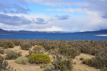 Fototapeta na wymiar landscape of volcano and forest in Patagonia Chile