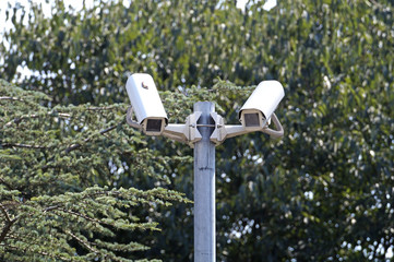 Security surveillance camera near green forest .