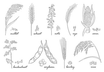 Hand drawn cereals