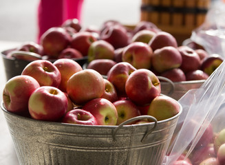 Apple Bucket