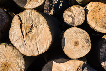 Holzstapel am Wegesrand