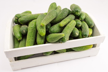 Fresh cucumbers in box prepared for jar