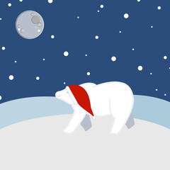 Smiling bear in the night