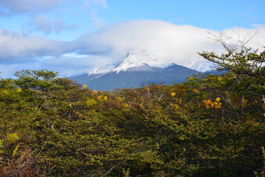 Landscape of volcano and forest in Patagonia Chile