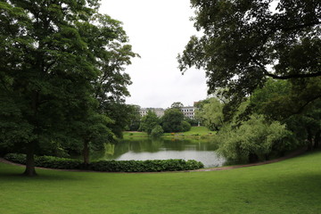 Pond in the park Ørstedsparken Copenhagen, Denmark Scandinavia 
