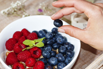 Raspberries and blueberries Various. Female fingers holding fruit