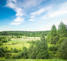 Summer beautiful landscape