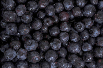 Close up of frozen  blueberries
