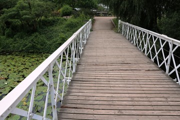 Fototapeta na wymiar White wooden bridge in Ørstedsparken Copenhagen, Denmark Scandinavia