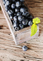 fresh blueberries and blueberry in a wooden box, selective focus