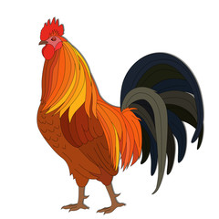 Arrogant Red Rooster