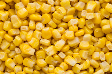 Bulk of yellow corn grains texture.