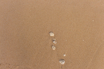Stones on wet sand