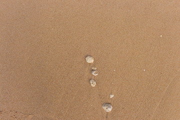 Fototapeta na wymiar Stones on wet sand