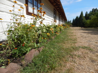 dom w skansenie w Tokarni