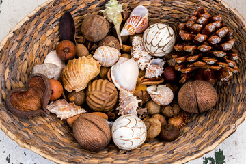 Wicker basket with seashells, pine cones, seeds and dried fruits, ornamental land.