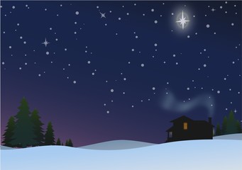 Fototapeta premium Winter Holiday