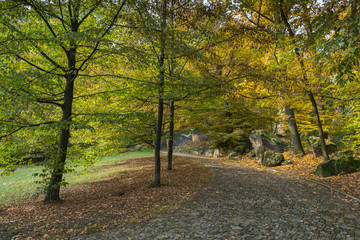 Autumn colors on a sunny day, Petrin and Kinsky parks, Prague, Czech Republic, Central Europe
