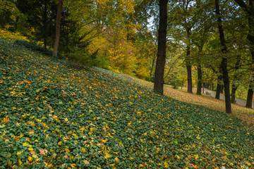 Autumn walks on a clouded day, Petrin and Kinsky parks, Prague, Czech Republic, Central Europe