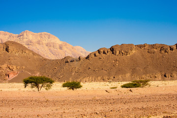 Fototapeta na wymiar Landscape from Timna National Park, Israel
