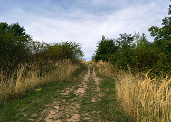 Autumn colors in Prague, Stodulky, Hurka Metro station, Prague, Czech Republic, Europe
