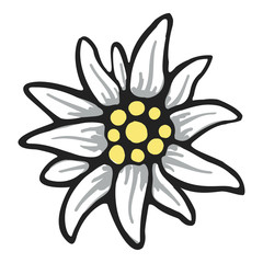 edelweiss flower symbol alpinism alps germany logo