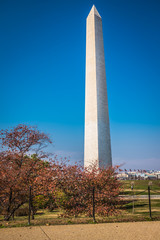 Washington DC