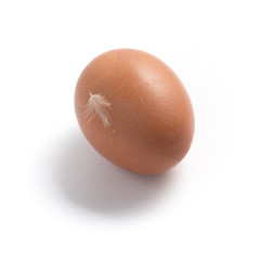 Organic Egg with feather