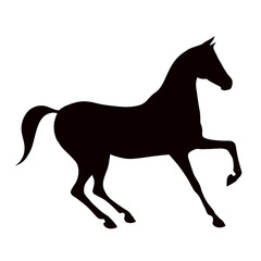 Black horse silhouette on white. Vector.