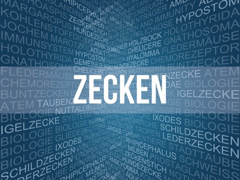 Zecken