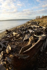 Southern Discovery Park Beach at Sunset II