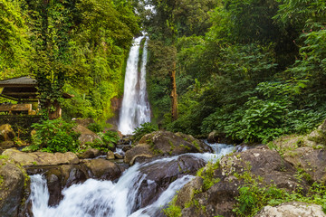 Fototapeta premium Gitgit Waterfall - Bali island Indonesia
