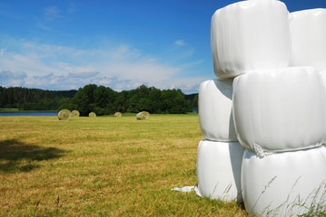 Gathered field with straw bales packaged