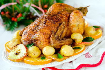 Christmas baked chicken (turkey) with oranges and apples on a wh